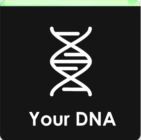 your dna icon